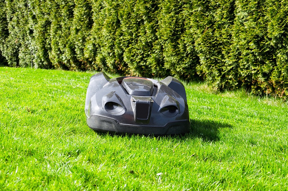 hedges, lawn, garden maintenance